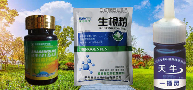 �����̳�԰�ֻ�е���޹�˾