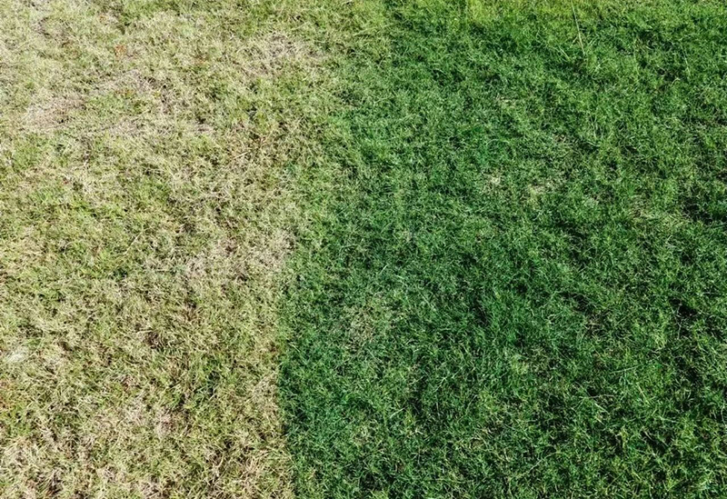 ͼƬ