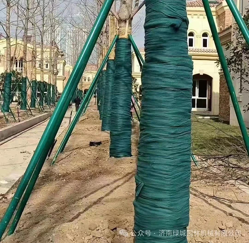 ͼƬ