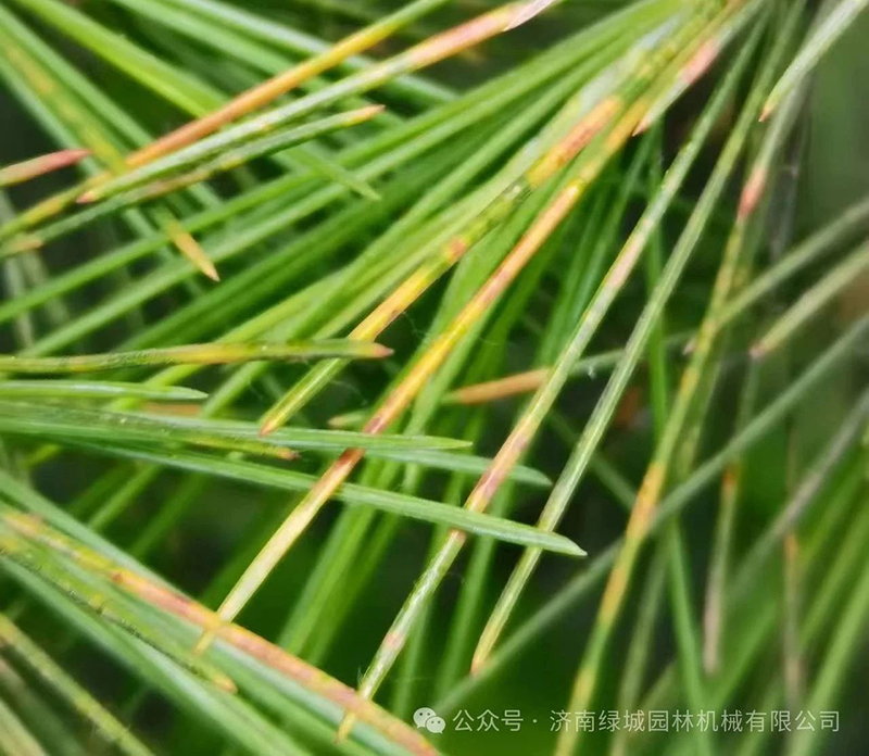 ͼƬ