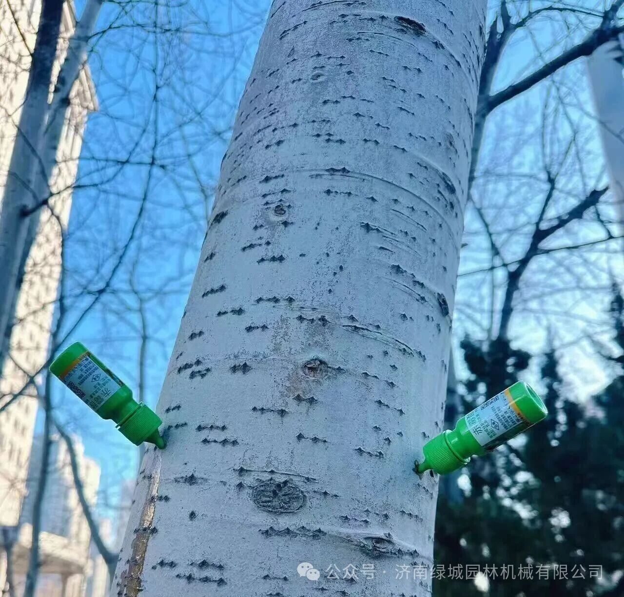 ͼƬ