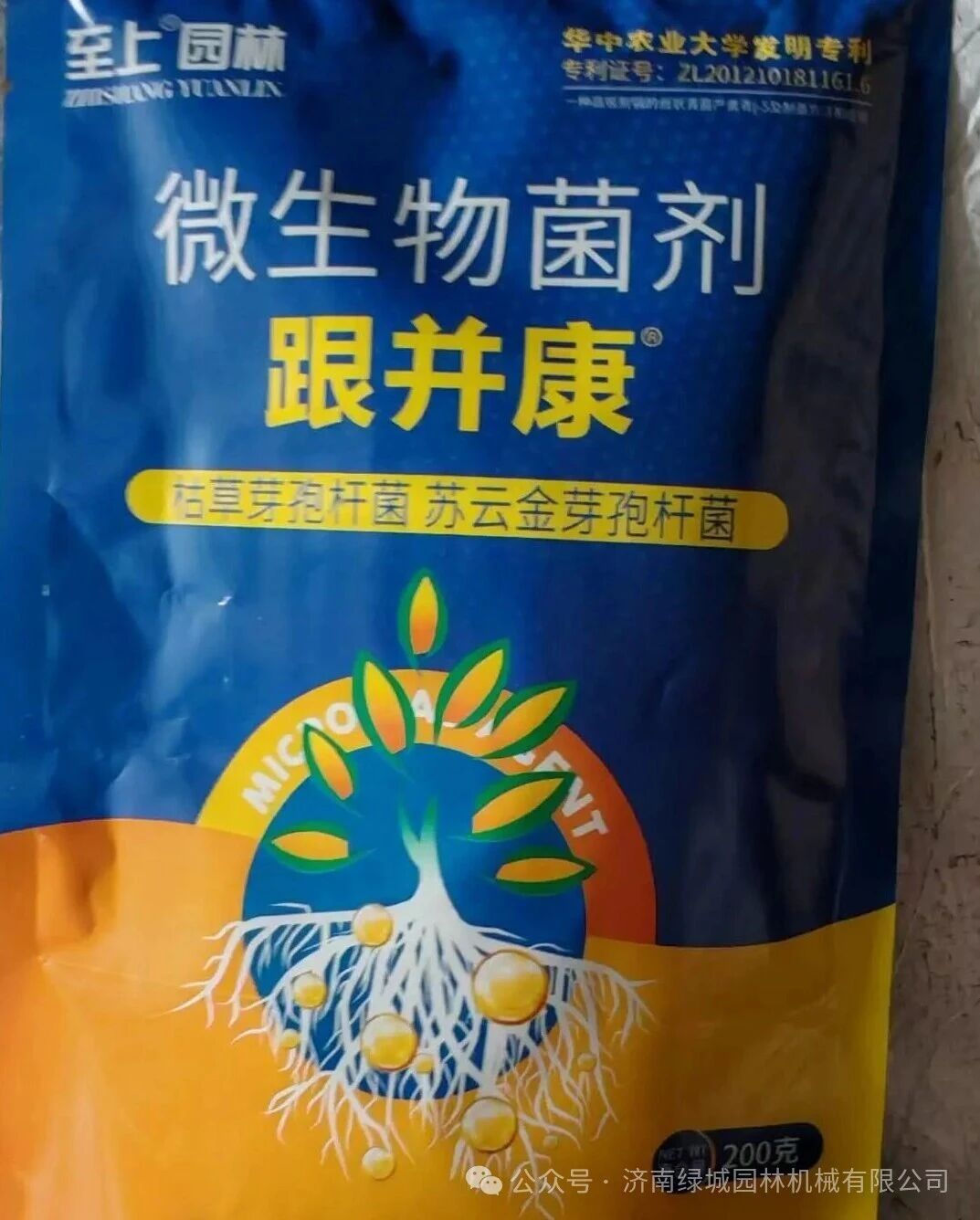ͼƬ