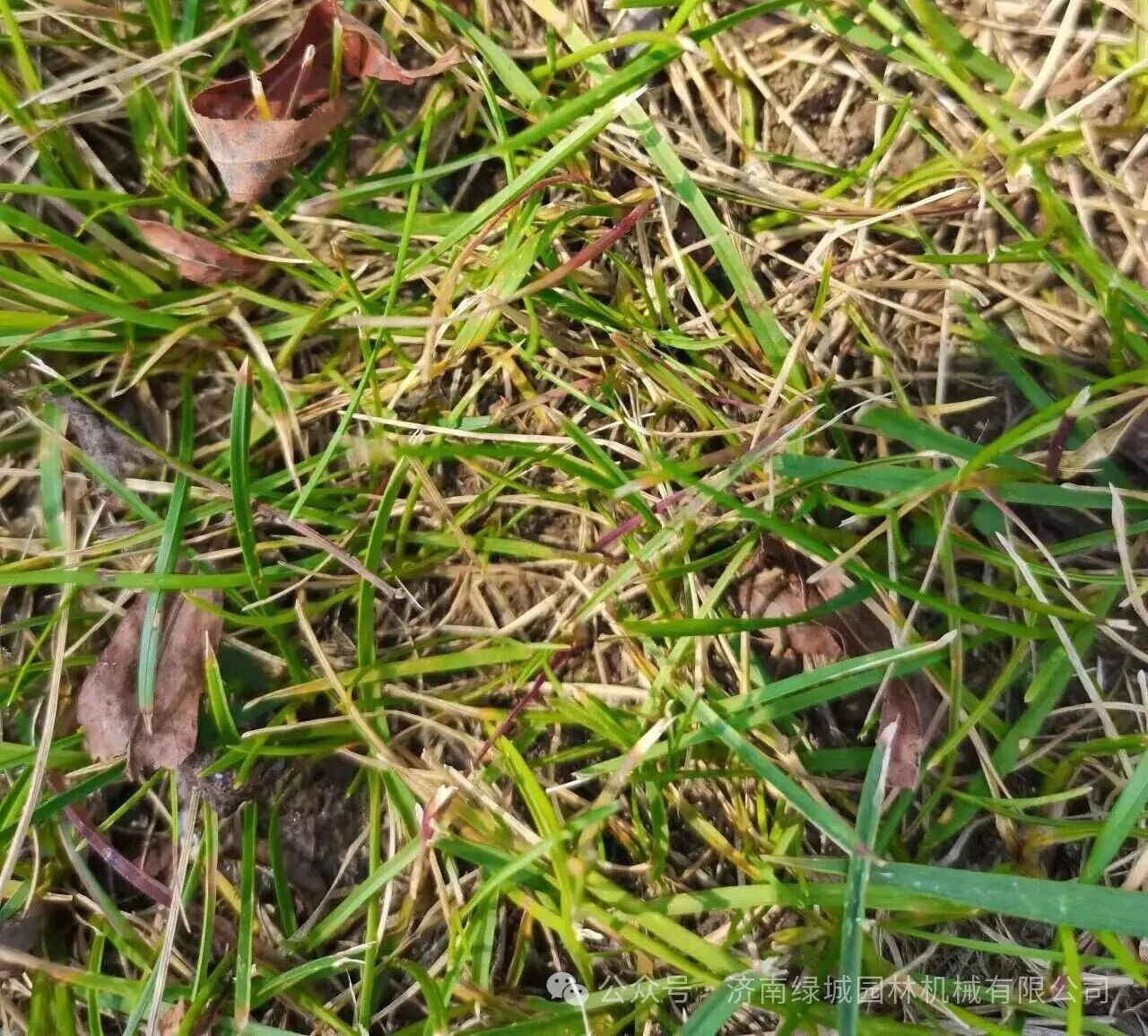 ͼƬ