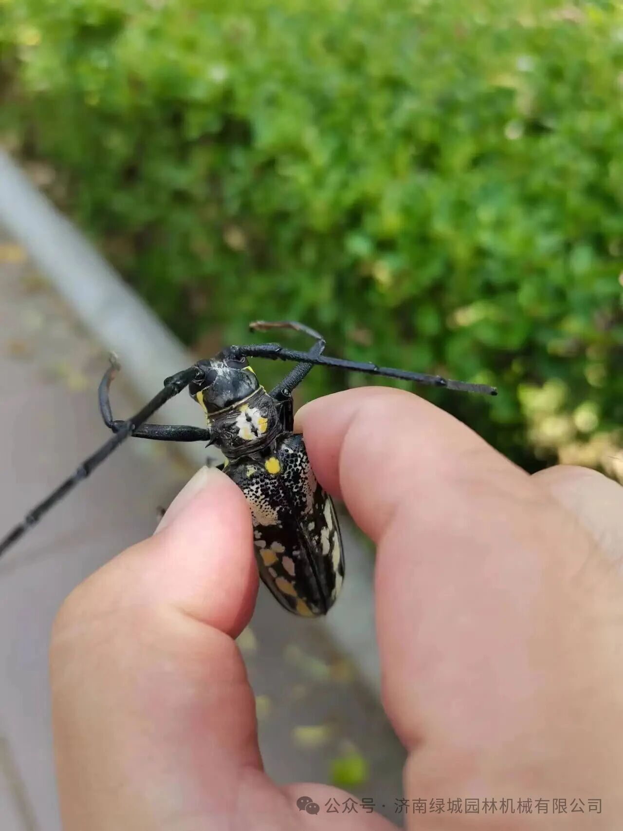 ͼƬ